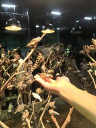 -Zoolung Zoolung动物主题公园(海信广场店)