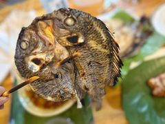 -杨合林啊兰烤鱼