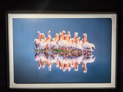 -罗红摄影艺术馆