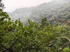 -北京上方山国家森林公园