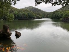 -白马涧龙池景区