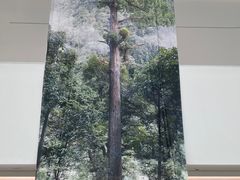 -中国湿地博物馆