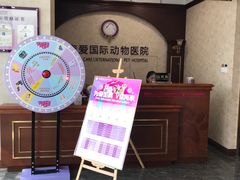-宠爱国际动物医院· 猫科· 外科·中兽医(长白店)