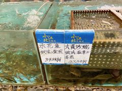 -小北江河鲜(新城店)