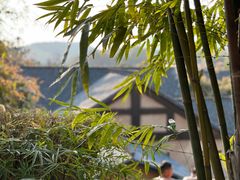 -崇阳三特浪口温泉