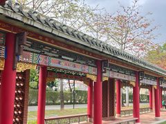 -顺峰山公园