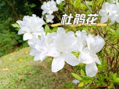 -广州市白云山风景名胜区