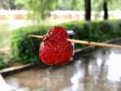 -雪儿钱局泡菜