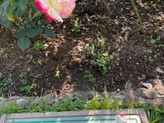 -人民公园(罗湖区)