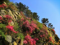 -木兰云雾山