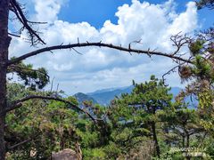 -沂蒙山旅游区云蒙景区(蒙山国家森林公园)