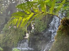 -Chom Cafe and Restaurant