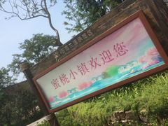 -田园东方蜜桃村的田野营地