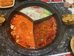 奔驰锅底-蜀大侠火锅(森兰花园城店)