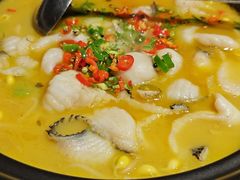 椒麻酸汤斑鱼-大鸭梨烤鸭(望京店)
