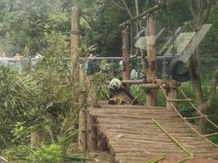 -黔灵山公园