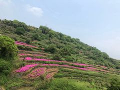 -许家山