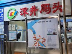-长洲岛