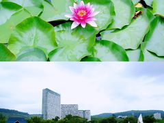 -月亮湾湿地公园