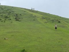 -大姆山草场