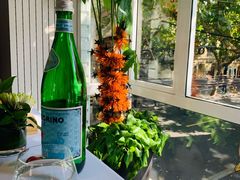 -蝶舍·MAISON PAPILLON