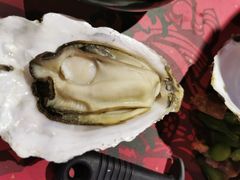 -蚝魁竹笼蒸生蚝 余杭店