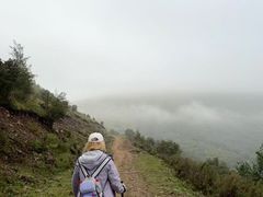 -灵山