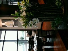 -梧桐餐厅(泉城路店)