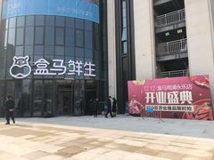 -盒马鲜生(领丰汇店)