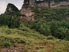 -重庆睡佛山森林公园