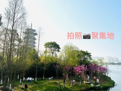 -洋湖国家湿地公园