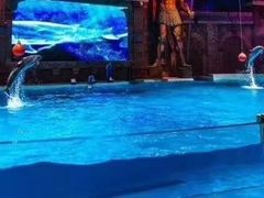 -哈尔滨波塞冬海底世界
