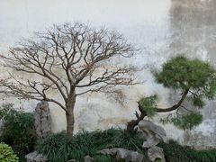 -艺圃