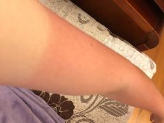 -美的鹭湖探索王国