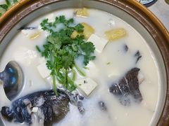 千岛湖鱼头-千岛湖小鱼儿·淳安匠心农家菜