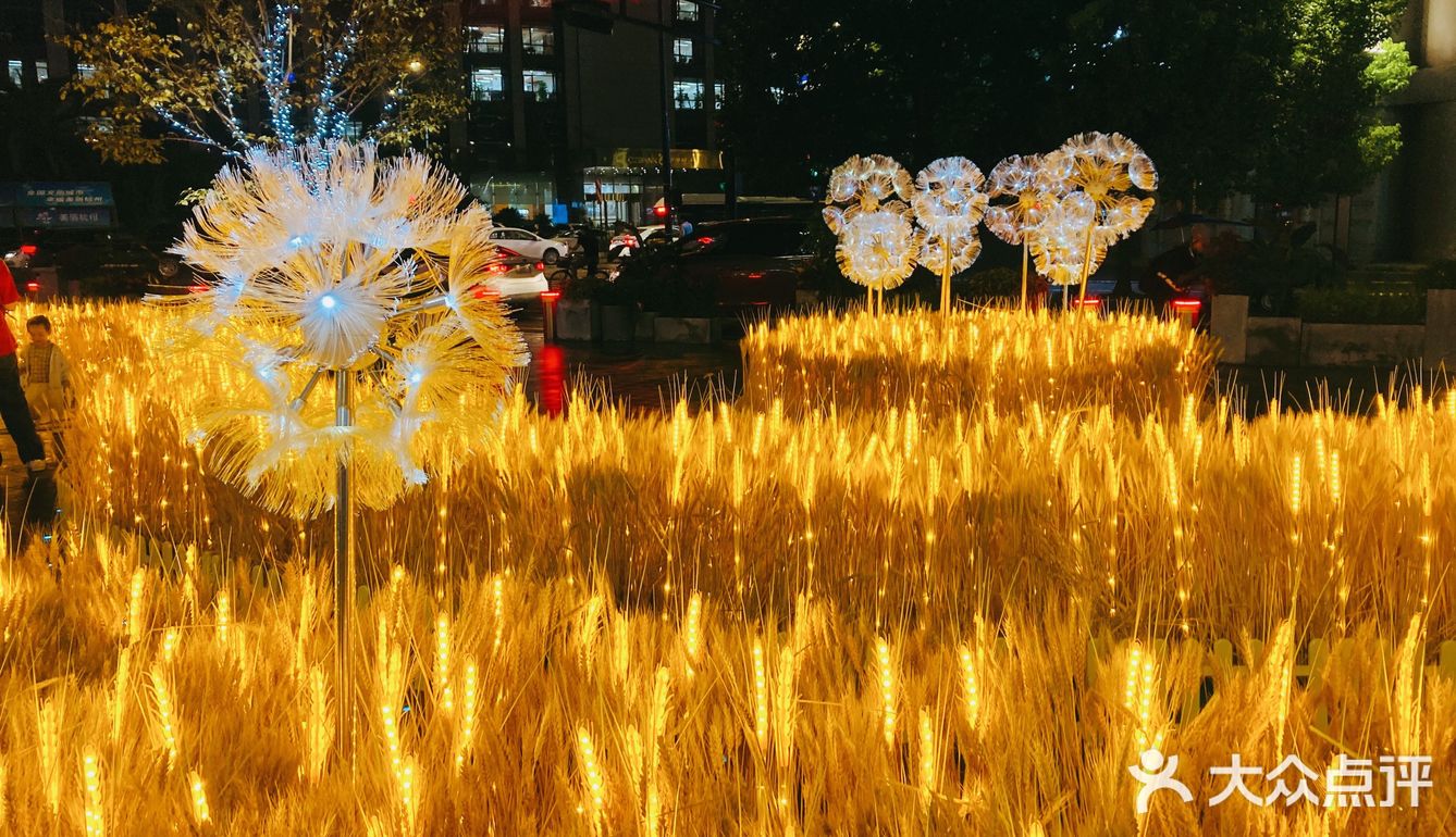 湖滨的麦子黄了!