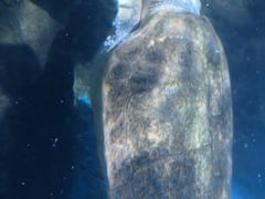 -海合安青岛极地海洋公园