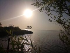 -苏州太湖西山岛开心农场