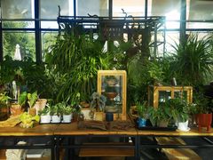 -北马山庄植趣咖啡