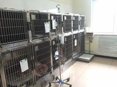 -美联众合动物医院·24h京西诊疗中心