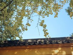 -西园戒幢律寺