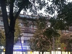 -一记洛阳菜·糖醋小排·水席(十字街店)
