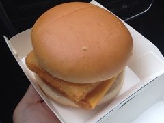 双层阿拉斯加狭鳕鱼堡-麦当劳(牡丹江路店)