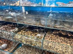 -仙螺岛海鲜自助餐厅(总店)
