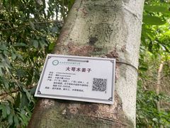 景点-海南热带雨林国家公园吊罗山景区
