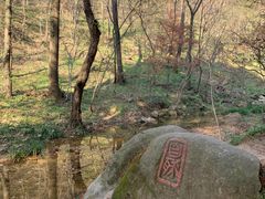 -波尔登森林公园