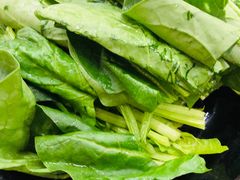 -新乡杨记红焖羊肉火锅(天坛南门店)