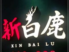 -新白鹿餐厅(金鹰新街口店)