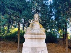 -北京十三陵国家森林公园蟒山景区