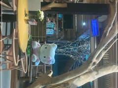 -渔太泰漓江小馆·广西融合菜(西街店)